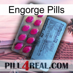 Engorge Pills 35